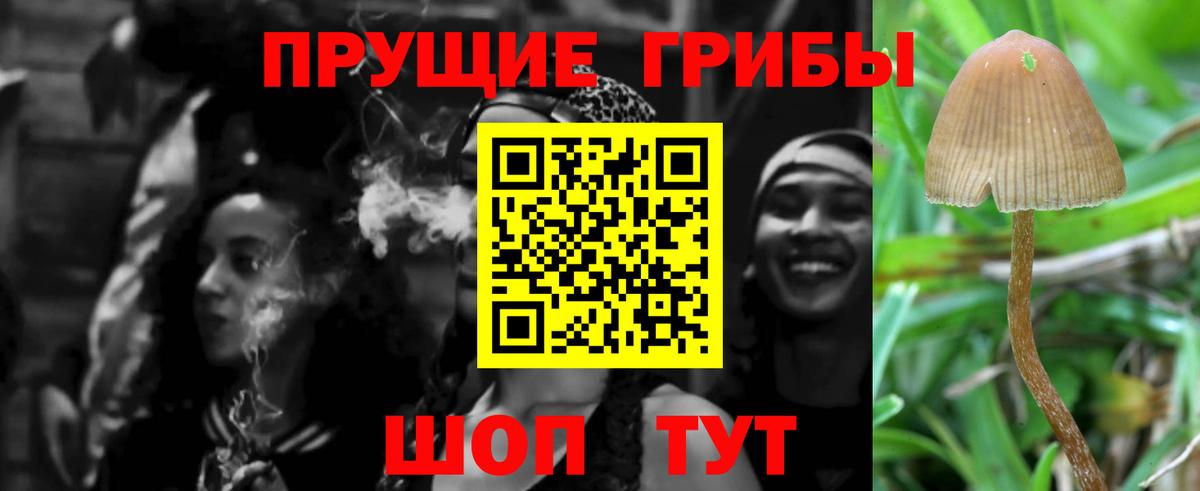 Псилоцибиновые грибы Cubensis Ижевск